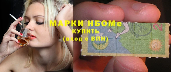 apvp Вяземский