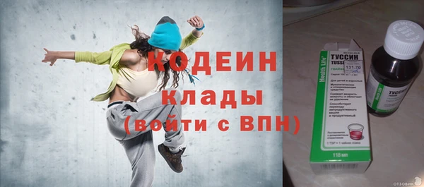 apvp Вяземский