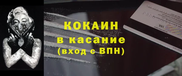 apvp Вяземский