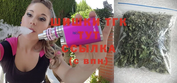apvp Вяземский