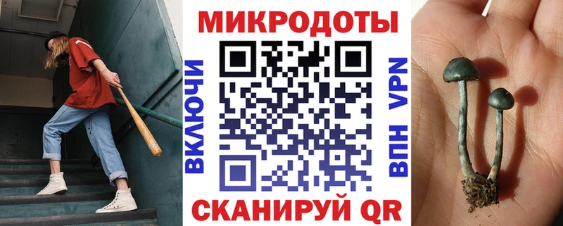 kraken зеркало  Ялуторовск  Псилоцибиновые грибы Psilocybe 