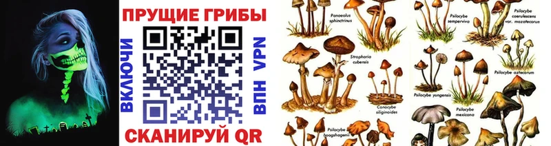 Псилоцибиновые грибы прущие грибы Ялуторовск